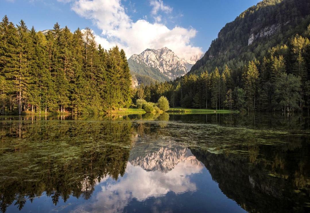 Boutique Hotel Vila Planinka Zgornje Jezersko Exterior foto